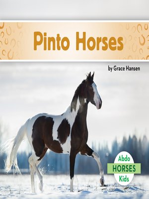 cover image of Pinto Horses